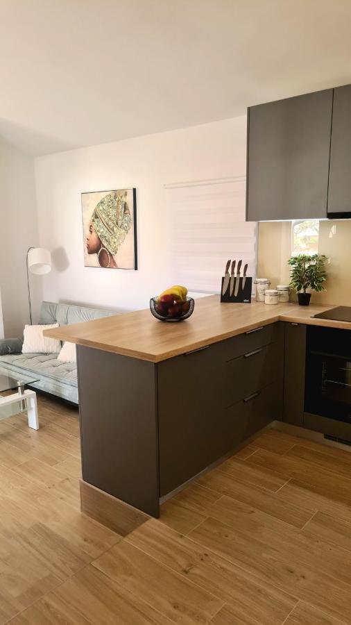 Family Oasis Apartment Zukve ヴーシ エクステリア 写真