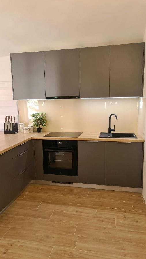 Family Oasis Apartment Zukve ヴーシ エクステリア 写真
