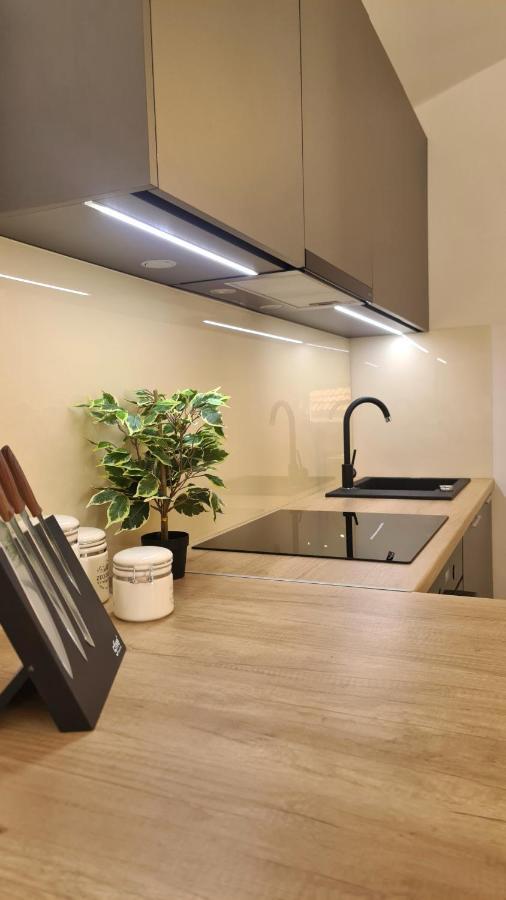 Family Oasis Apartment Zukve ヴーシ エクステリア 写真